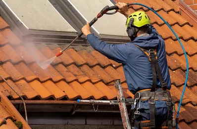 Démoussage et hydrofuge de toiture à Perroy